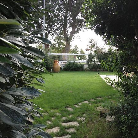 Villa Gioia Rooms Montegranaro Eksteriør bilde