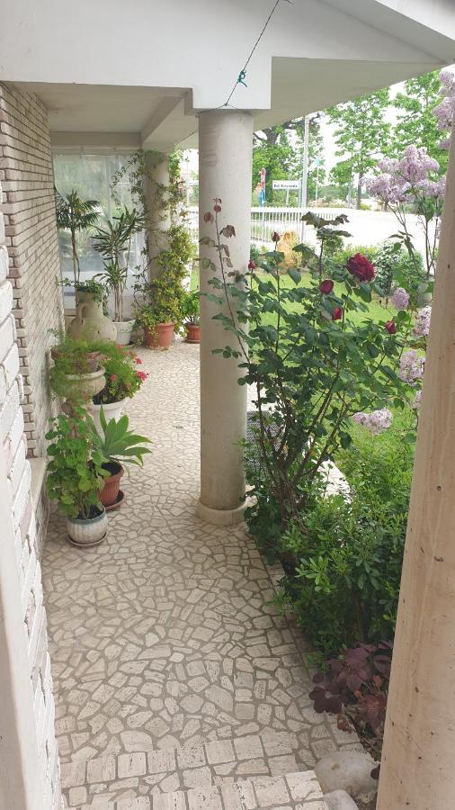 Villa Gioia Rooms Montegranaro Eksteriør bilde