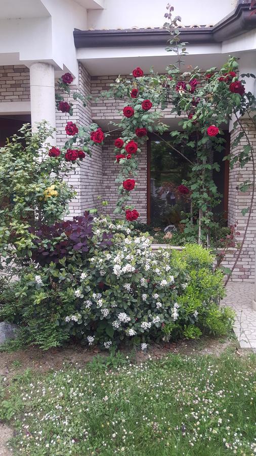 Villa Gioia Rooms Montegranaro Eksteriør bilde