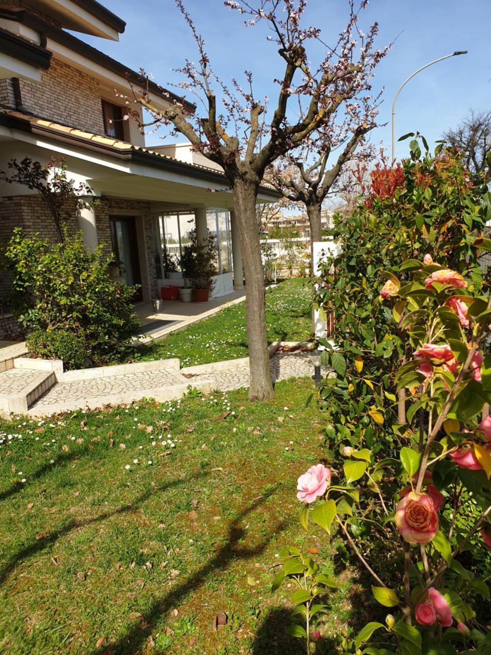 Villa Gioia Rooms Montegranaro Eksteriør bilde